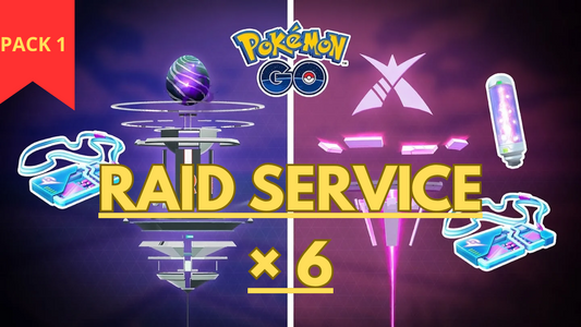 Pack 1- RAID SERVICE × 6