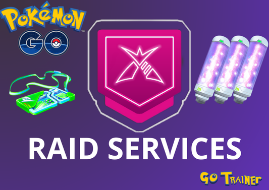 RAID SERVICE - 3 raids